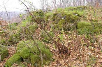  ( © Jan P. Štěpánek 05/2005)
