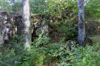 Panorama ve skale vysekaného prostoru suterénu snad strážní věže ( © Jan P. Štěpánek 08/2007)