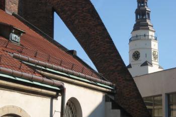  (© Zdeněk Susa, 09/2008)