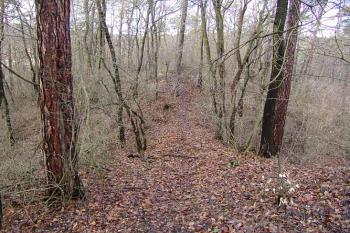 úzká přístupová šíje ( © Roman Řezáč 01/2005)