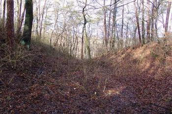 Zbytky příkopu na severní straně ( © Roman Řezáč 01/2005)