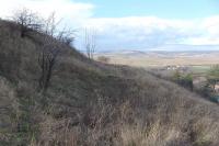 Věteřov