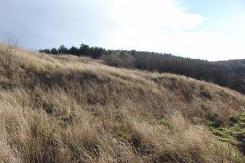 Západní část svažitého jádra ( © Roman Řezáč 01/2005)