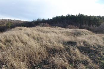 Pohled na jádro od severozápadu ( © Roman Řezáč 01/2005)