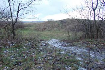 Pohled přes šíjový příkop na jádro ( © Roman Řezáč 01/2005)
