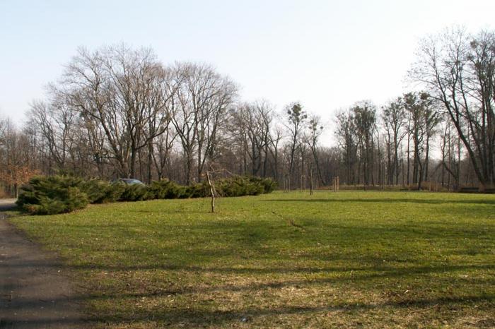 Orlová