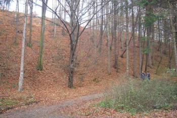 jižní svah ostrožny a přístupová cesta ke kartouze ( © Ondřej Štěpánek 11/2006)