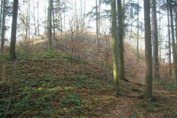 pohled od východu na skalnatý hřeben upraveného na štítovou hradbu, který chránil vlastní areál kartouzy ( © Ondřej Štěpánek 11/2006)