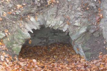 detail sklípku v severní části kartouzy ( © Ondřej Štěpánek 11/2006)