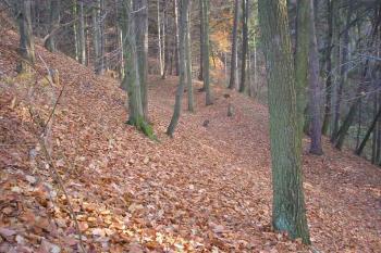pohled na  jižní val  pod kartouzou ( © Ondřej Štěpánek 11/2006)