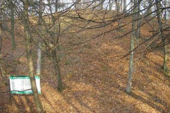 infotabule a skalní hřeben upravený do štítové hradby ( © Ondřej Štěpánek 11/2006)
