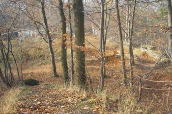 pohled ze skalního bloku-štítové hradby na zástavbu v severní části ostrožny ( © Ondřej Štěpánek 11/2006)