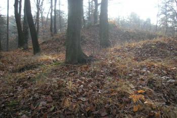 pohled od  severu na vrchol skalního hřebene -štítovou hradbu ( © Ondřej Štěpánek 11/2006)