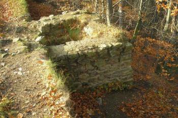 prevét při tzv. převorově domku ( © Ondřej Štěpánek 11/2006)
