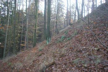 východní strmý svah skalnatého hřebene-štítové zdi ( © Ondřej Štěpánek 11/2006)