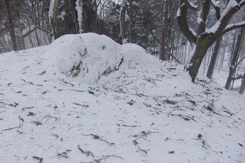 Zbytky místnosti zasekané do skály v jádru hradu ( © Roman Řezáč 01/2005)