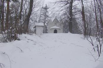 Dnešní stav jádra.. ( © Roman Řezáč 01/2005)