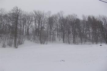 Celkový pohled na kopec s hradem od jihovýchodu ( © Roman Řezáč 01/2005)