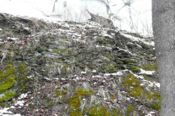 pozůstatek parkánové hradby ve východním svahu vrcholku Křížového vrchu ( © Jan P. Štěpánek 03/2008)
