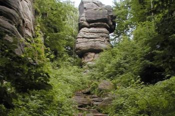 nepatrný zbytek hrádku nad zámkem (© Alena Volná, 6/2008)