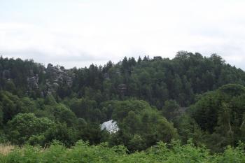  (© Michal Brůža, 07/2011)