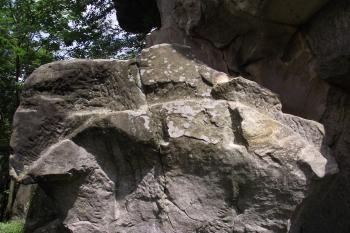  (© Michal Brůža, 07/2011)
