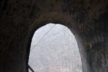  ( © Iva Spurná 15.11.2008)