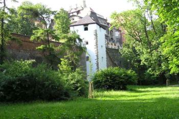Michalský výpad ( © Jan P. Štěpánek 06/2005)