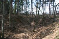 Kočičí hrádek