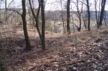  (© Jan Švejkar, 04/2008)