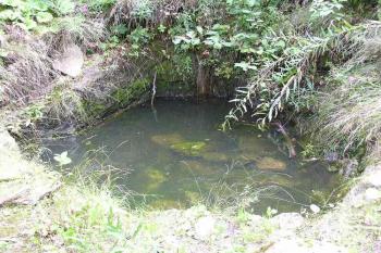 Drobná cisterna v ploše nádvoří hradu (© Jan P. Štěpánek 08/2006)