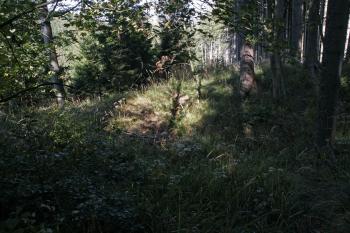 Příkop předhradí ( © Iva Spurná 26.9.2009)