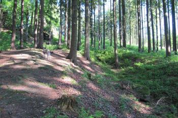 hradní příkop (© Rodochrozit, 06/2010)
