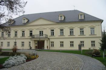 Současný stav-nová střecha,nová fasáda, krásně upravená plocha před zámkem (© D Dohňanský, 12/2013)