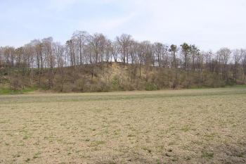 Celkový pohled od jihu na říční terasu s hrádkem ( © Jan P. Štěpánek 04/2006)
