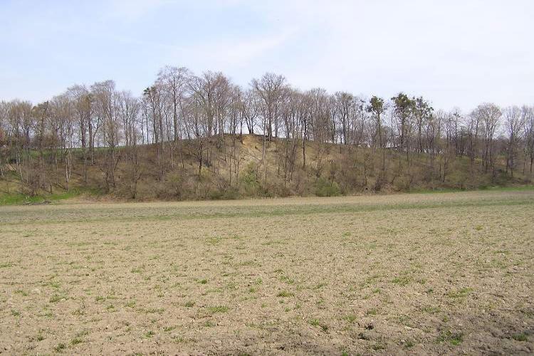 Dětřichovice u Příbora