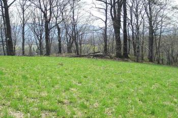 Pohled na hrádek od severozápadu ( © Jan P. Štěpánek 04/2006)