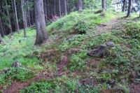 Baranská skála