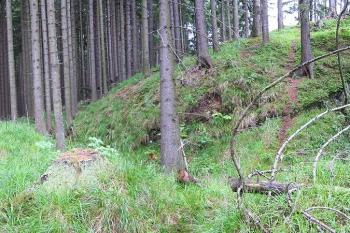 Celkový pohled na hrádek od severovýchodu ( © Jan P. Štěpánek 2006)