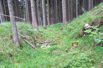 Pohled od severu na okružní příkop na severovýchodě lokality ( © Jan P. Štěpánek 2005)