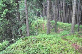 Pohled z hrádku  k severovýchodu na znatelný příkop a val ( © Jan P. Štěpánek 2005)
