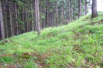 Plošina na jihu pod vrcholem jádra ( © Jan P. Štěpánek 2005)
