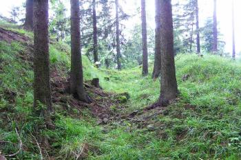 Vyústění příkopu na severovýchoddě lokality ( © Jan P. Štěpánek 2005)
