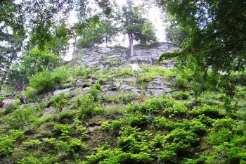 Pohled z úpatí Branské skály na kolmou skalní stěnu na jejímž vrcholu se pozůstatky hrádku nacházejí ( © Jan P. Štěpánek 2005)
