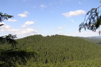 Pohled z hrádku na tajemný vrch Šorštýn ( © Jan P. Štěpánek 2005)