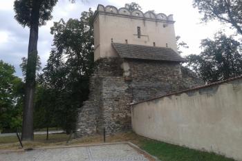 Bašta naproti hřbitova ( © Ivo Rozehnal 08/2018)