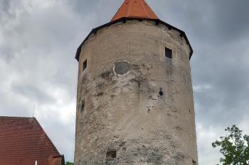 Nádherná růže v horní partii věže (© Ivo Rozehnal  07/2026)