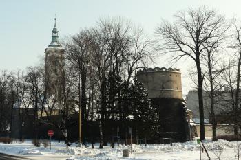  (© Alena Volná, 01/2010)