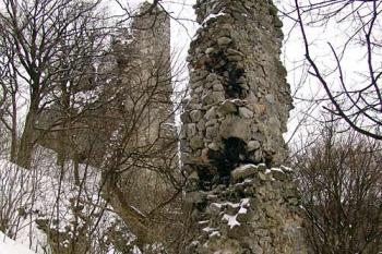 Torzo brány jádra hradu ( © Roman Řezáč 02/2005)