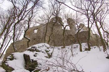 Zbytky zdiva zástavby jádra s šípovitými opěráky ( © Roman Řezáč 02/2005)